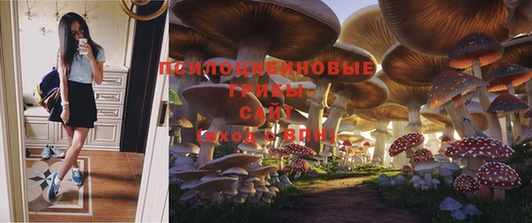 мескалин Каменногорск