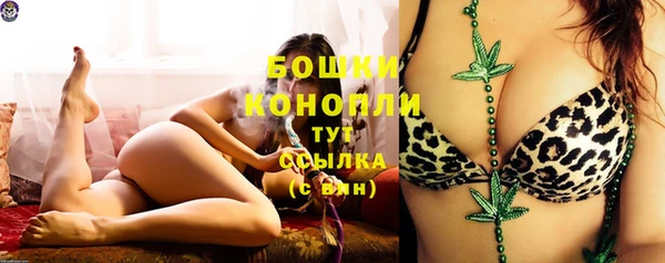 метадон Каменка