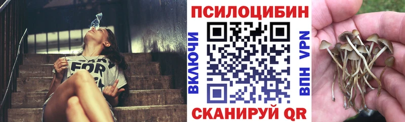 Галлюциногенные грибы мицелий  Купить  Мезень 